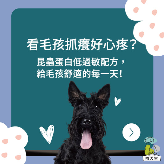 昆蟲蛋白飼料,狗狗抓癢好心疼