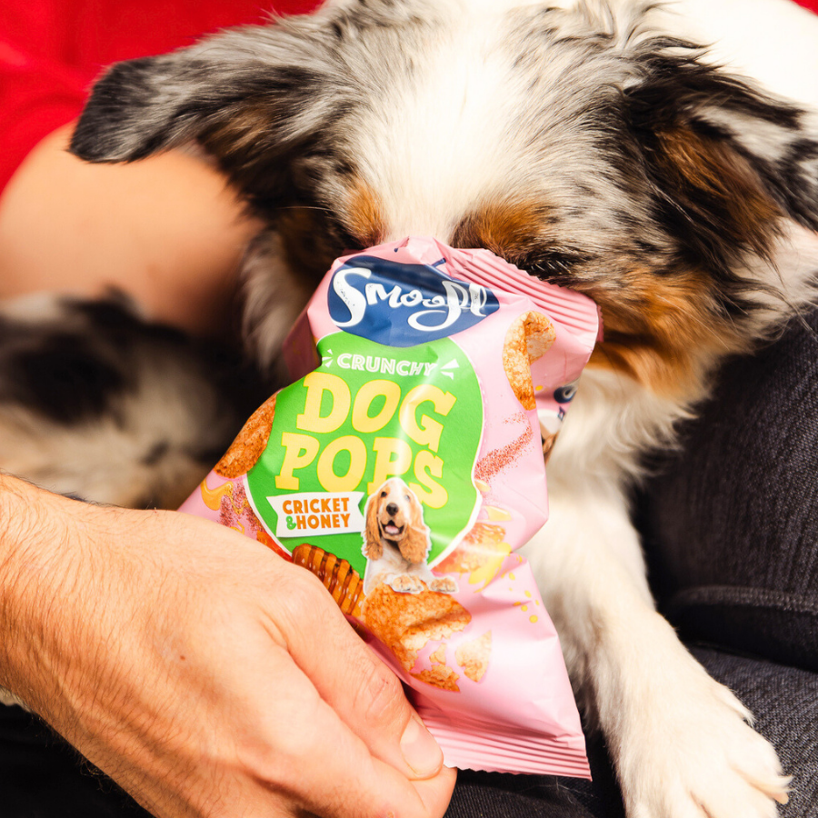 昆蟲蛋白寵物零食,低敏寵物零食,低熱量寵物零食,低敏狗餅乾,低熱量狗餅乾,寵物米餅,狗狗米餅