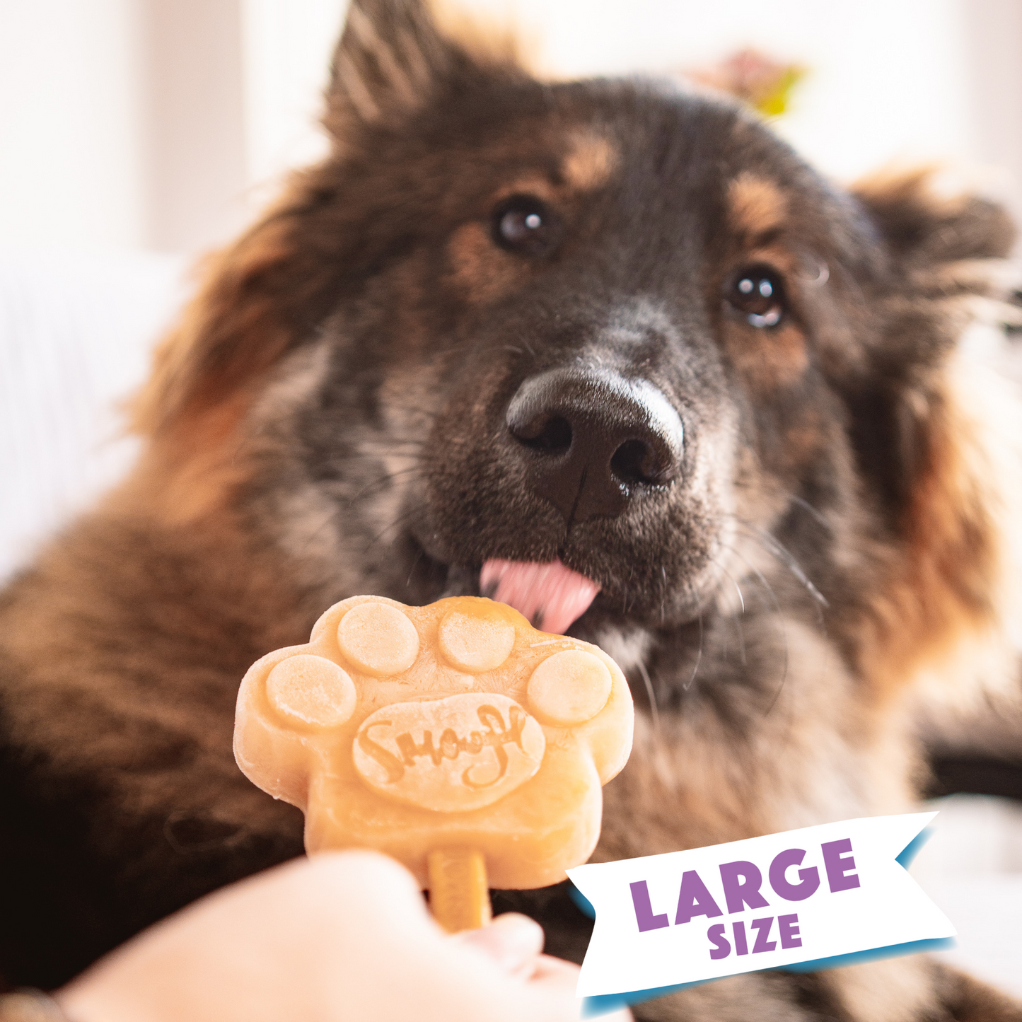 狗狗冰淇淋,寵物冰淇淋,【Smoofl 冰狗】狗狗冰棒多種口味選擇,寵物冰品,狗狗吃冰