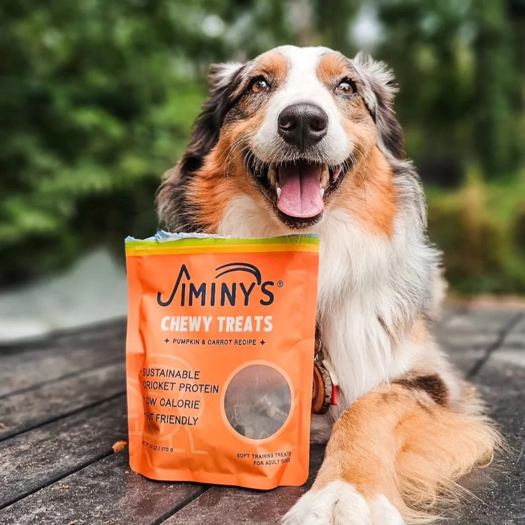 【Jiminy′s 吉米尼】特價(短效期到12/19)機能軟零食 - 南瓜胡蘿蔔 170g|蟋蟀蛋白狗零食