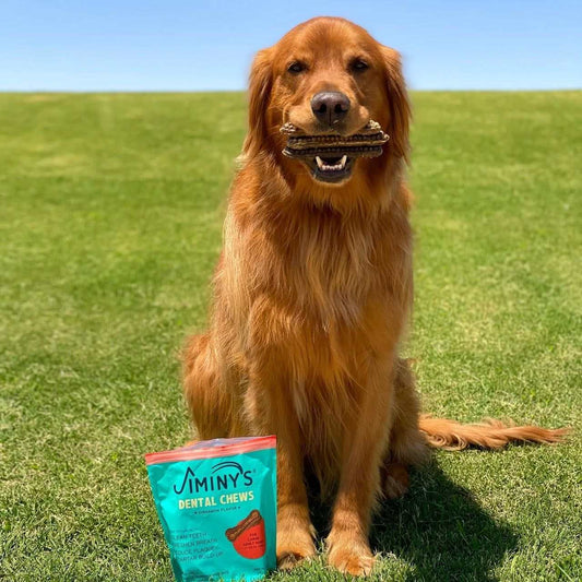 Jiminy's 潔牙骨尺寸對照表,提供 XS 到 L 號適合小型犬至大型犬 | 低敏狗潔牙棒潔牙骨 | 黑水虻潔牙咀嚼棒 | 由美國獸醫共同研發犬。