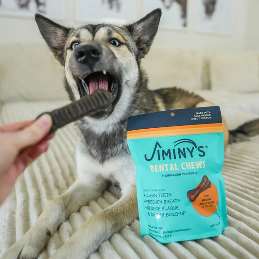 【Jiminy′s 吉米尼】低敏昆蟲蛋白潔牙骨 | 改善口臭、預防牙周病 (黑水虻蛋白)