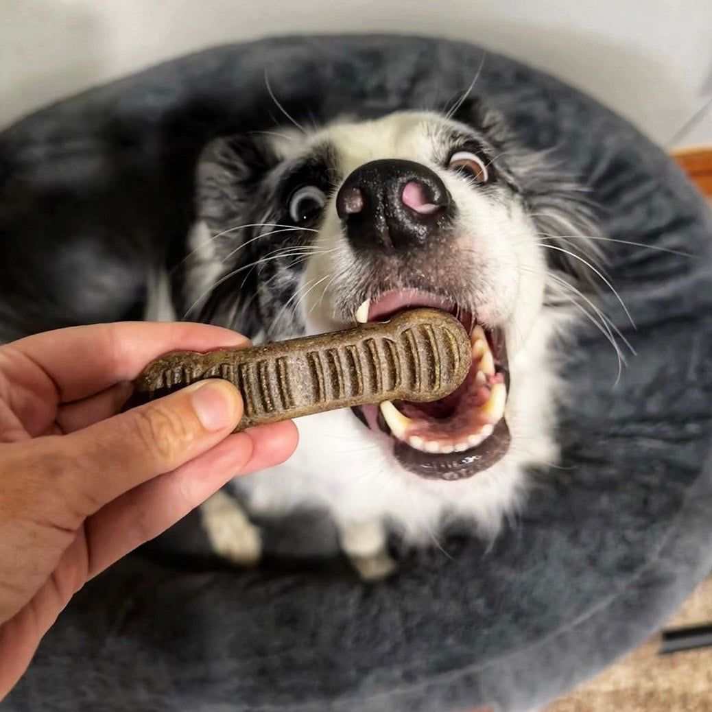 Jiminy's 潔牙骨尺寸對照表,提供 XS 到 L 號適合小型犬至大型犬 | 低敏狗潔牙棒潔牙骨 | 黑水虻潔牙咀嚼棒| 由美國獸醫共同研發