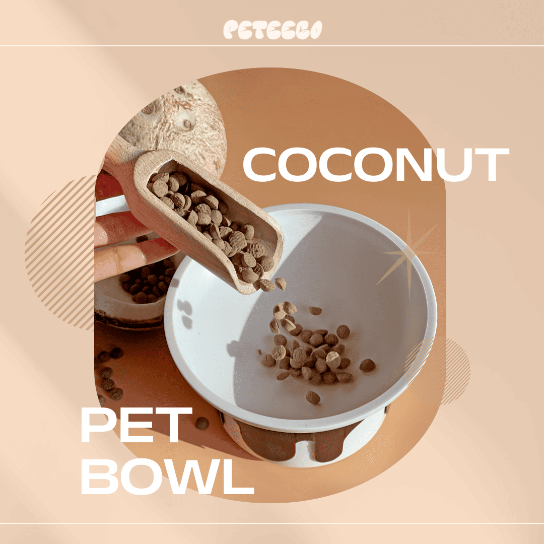 PETEECO 環保寵物碗，使用可分解材質製成的狗碗