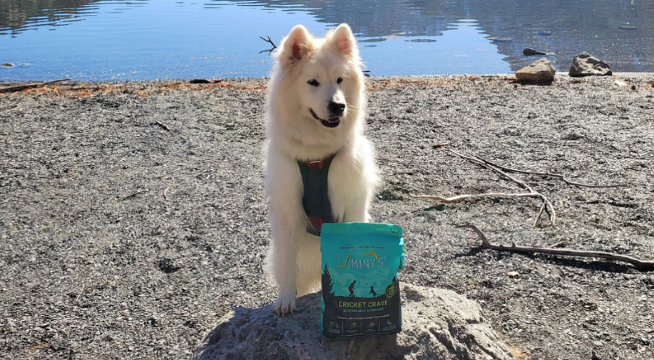 Jiminy’s吉米尼低敏昆蟲蛋白飼料,低敏狗糧推薦,WDJ推薦飼料,符合AAFCO標準飼料