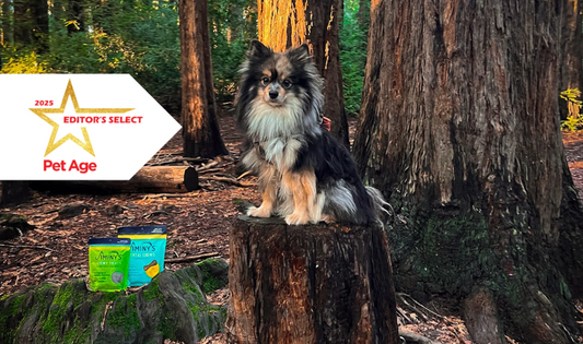 Jiminy’s 獲獎的潔牙骨與訓練軟零食，Pet Age 2025 編輯精選大獎。WDJ推薦狗飼料