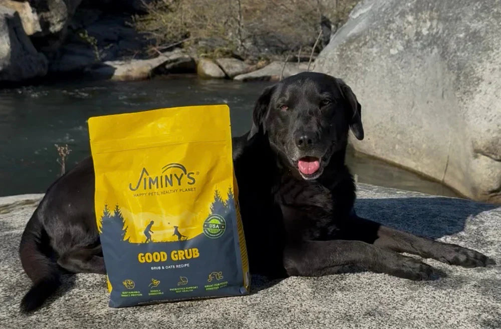 狗狗腸胃敏感推薦飼料,WDJ推薦飼料,狗狗軟便推薦,狗狗皮膚癢推薦