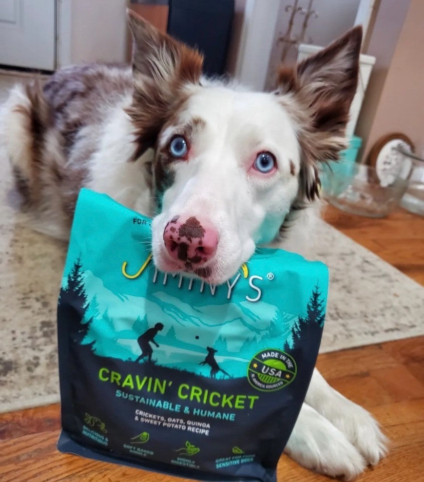 低敏昆蟲蛋白飼料｜Jiminy's吉米尼活力配方｜腸胃皮膚全方位照護｜成犬主糧推薦