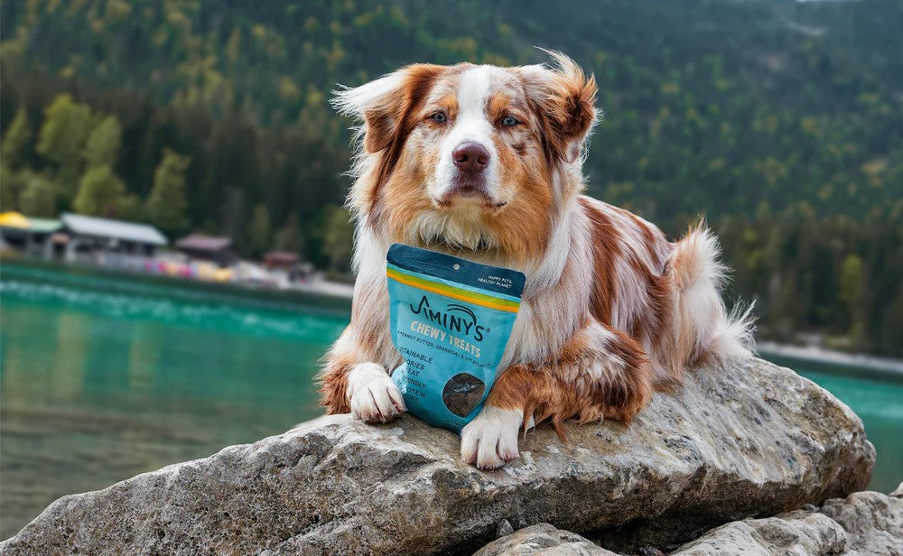 美國環保媒體這樣看昆蟲蛋白飼料：Jiminy's吉米尼的碳足跡有多小？