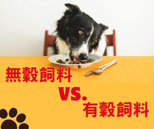 無穀飼料比較好嗎,無穀飼料跟有穀飼料的差別