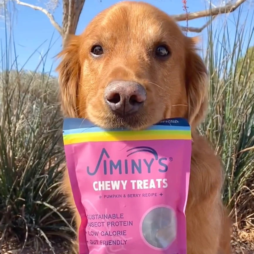 【Jiminy′s 吉米尼】機能軟零食 - 莓果南瓜 170g